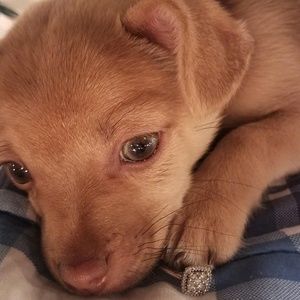 Meet your Posher, Jorge